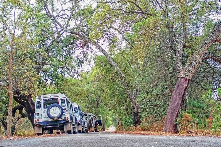 Arade River Cruise & Algarve Jeep Safari — Day Trip from Portimão photo 2