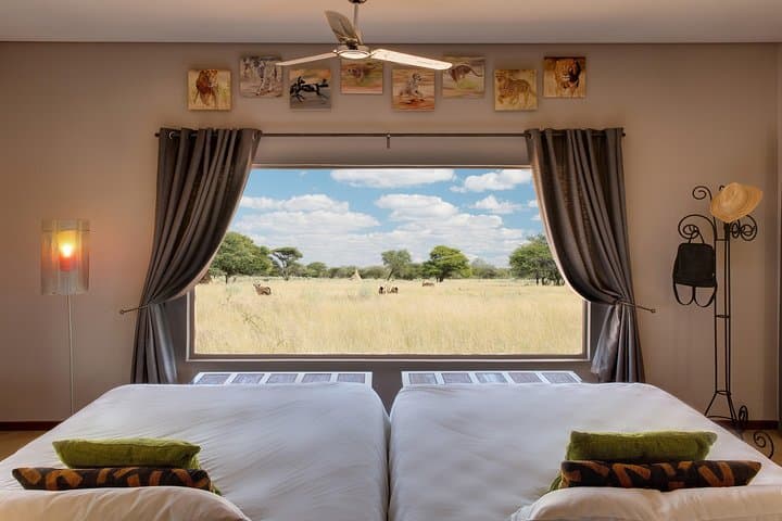 Namibia Express Safari: 6-Day Sossusvlei, Swakopmund & Etosha Wildlife Tour photo 4