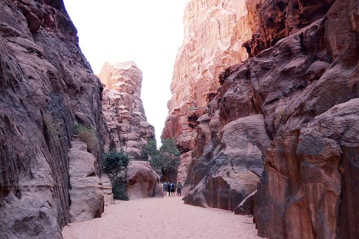 2-Day Bedouin Desert Trek: Hike, Camp & Sleep Under the Stars in Wadi Rum photo 1
