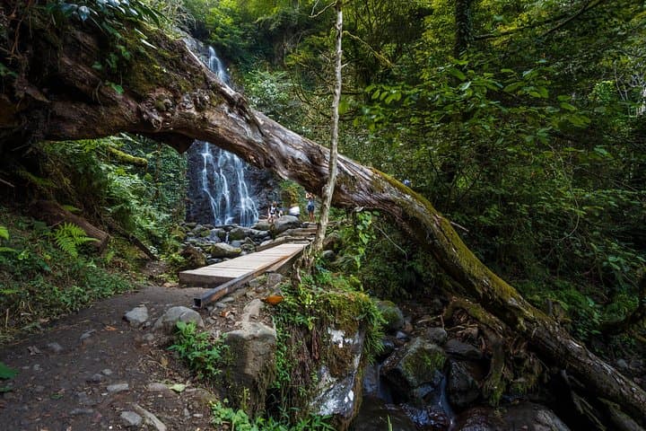 Adjarian Waterfalls & Queen Tamar Bridge Day Tour from Batumi photo 4