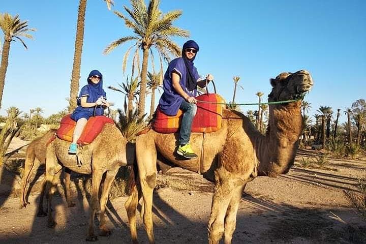 Luxury Overnight Desert Camp & Camel Trek from Fez to Merzouga