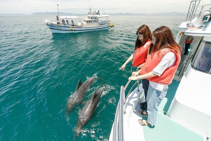 Muscat Dolphin Watch Cruise — 2-Hour Dolphin Safari on Oman's Coast photo 3