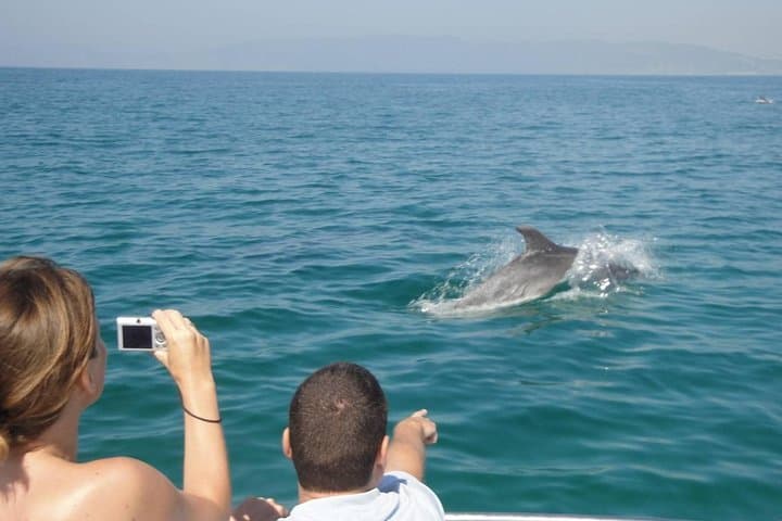 Dolphin Watching & Bandar Khiran Snorkeling Tour from Muscat photo 4