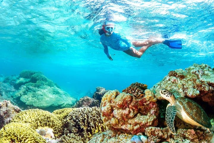 Dolphin Watching & Bandar Khiran Snorkeling Tour from Muscat photo 6