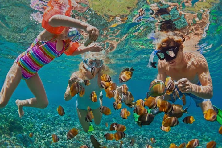 Dolphin Watching & Bandar Khiran Snorkeling Tour from Muscat
