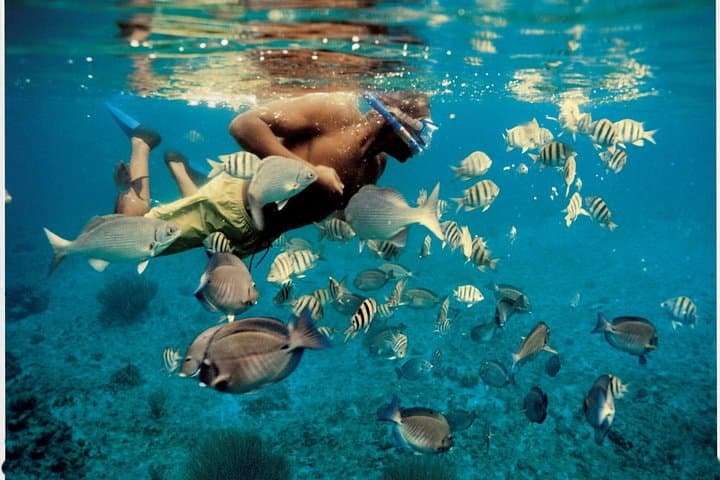 Dimaniyat Islands Day Trip from Muscat — Snorkel with Turtles in Oman’s Marine Reserve photo 5