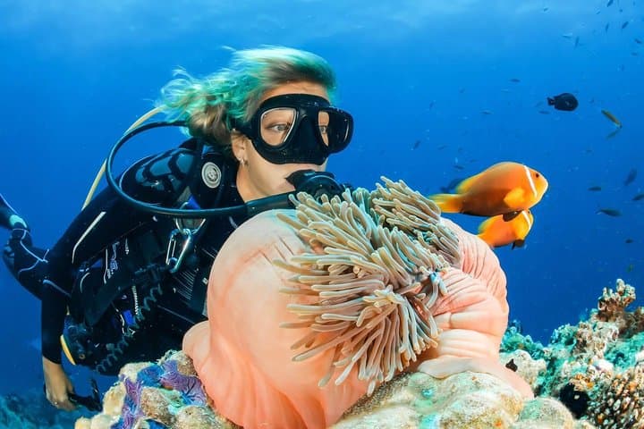 Dimaniyat Islands Day Trip from Muscat — Snorkel with Turtles in Oman’s Marine Reserve photo 6