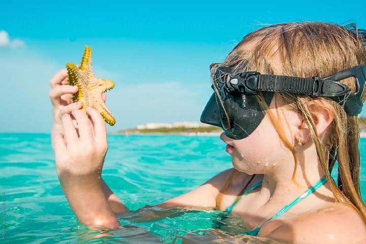 Snorkeling Trip from Muscat: Reef Snorkel with Turtles and Tropical Fish photo 2