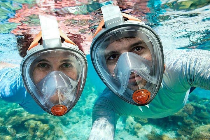 Snorkeling Trip from Muscat: Reef Snorkel with Turtles and Tropical Fish photo 3