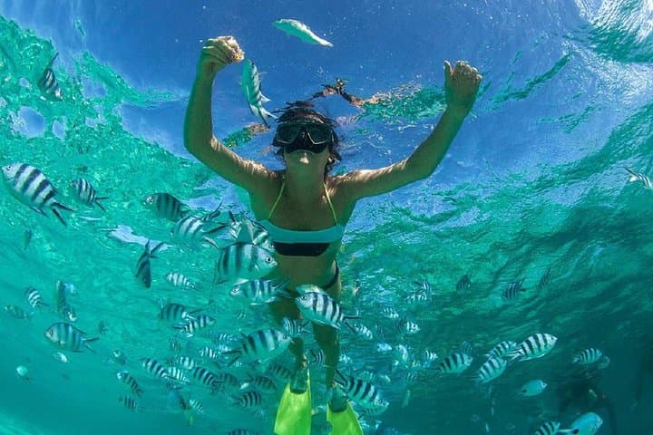 Snorkeling Trip from Muscat: Reef Snorkel with Turtles and Tropical Fish photo 5