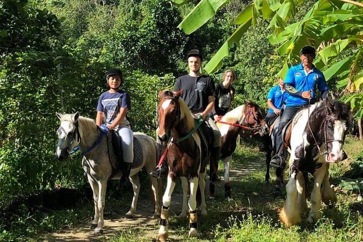 Phuket Horseback Riding: 1-Hour Big Buddha Hill Trail with Chalong Bay Views