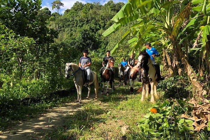 Phuket Horseback Riding: 1-Hour Big Buddha Hill Trail with Chalong Bay Views photo 5