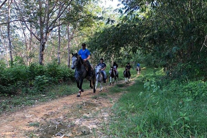 Phuket Horseback Riding: 1-Hour Big Buddha Hill Trail with Chalong Bay Views photo 6