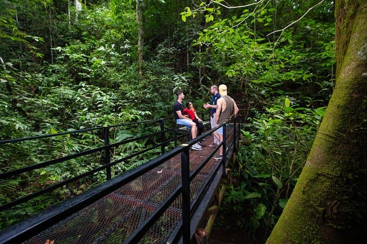 Soar Over Jacó: Rainforest Aerial Tram & Zipline Adventure, Costa Rica photo 4