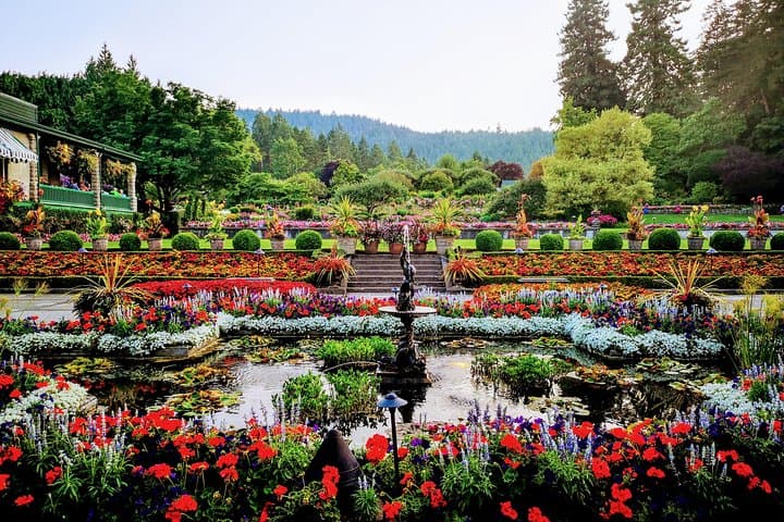 Ultimate Victoria Day Tour — Butchart Gardens, Butterfly Gardens, Winery & Craigdarroch Castle photo 2