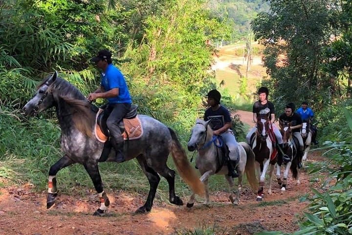 Phuket Horseback Riding: 1-Hour Big Buddha Hill Trail with Chalong Bay Views photo 2