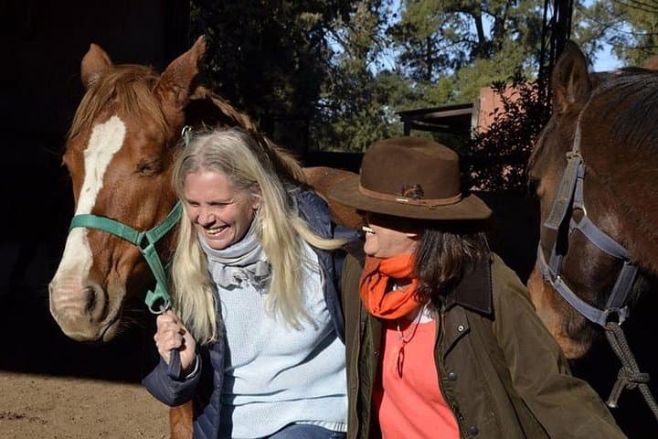 Equine Coaching in Buenos Aires: Confidence Workshops with Gentle Horses
