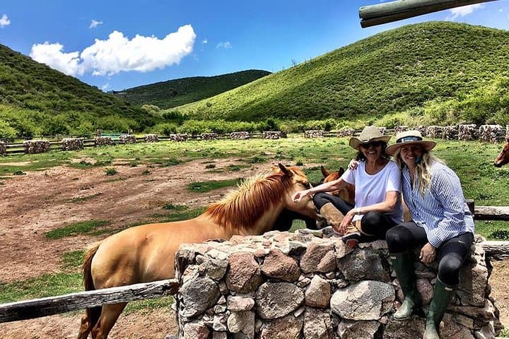 Equine Coaching in Buenos Aires: Confidence Workshops with Gentle Horses photo 4