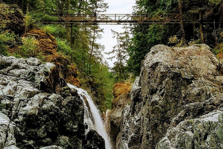 Vancouver Island Waterfalls, Cathedral Grove & Coombs Private Tour photo 4