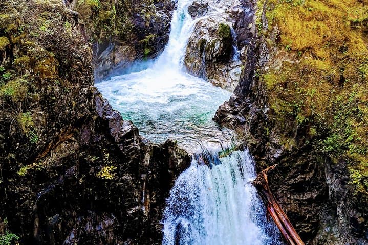 Vancouver Island Waterfalls, Cathedral Grove & Coombs Private Tour photo 5