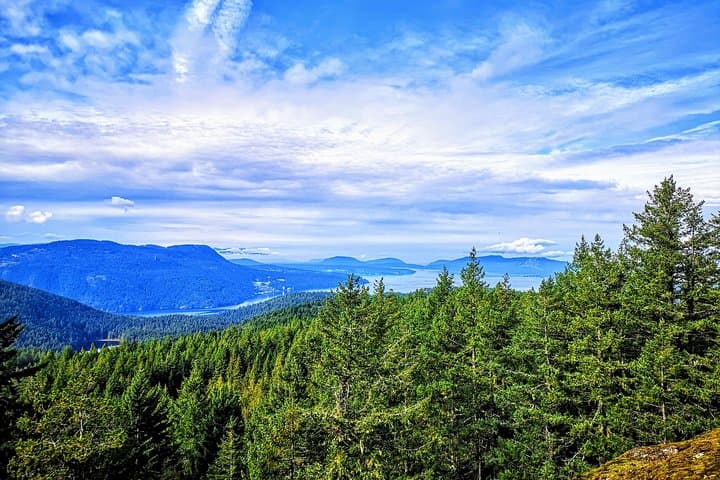 Private Guided Rainforest Hike Near Victoria: Old-Growth Trails & Waterfalls photo 6