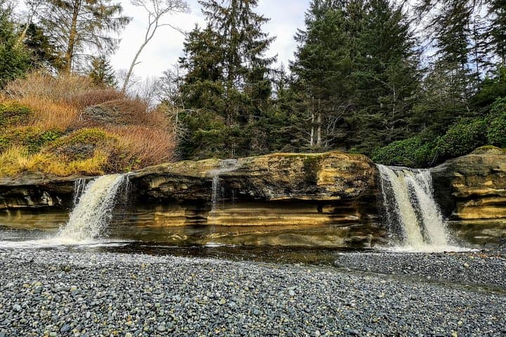 Sooke to Port Renfrew Wild Pacific Adventure — Beaches, Old-Growth & Tidal Pools photo 1