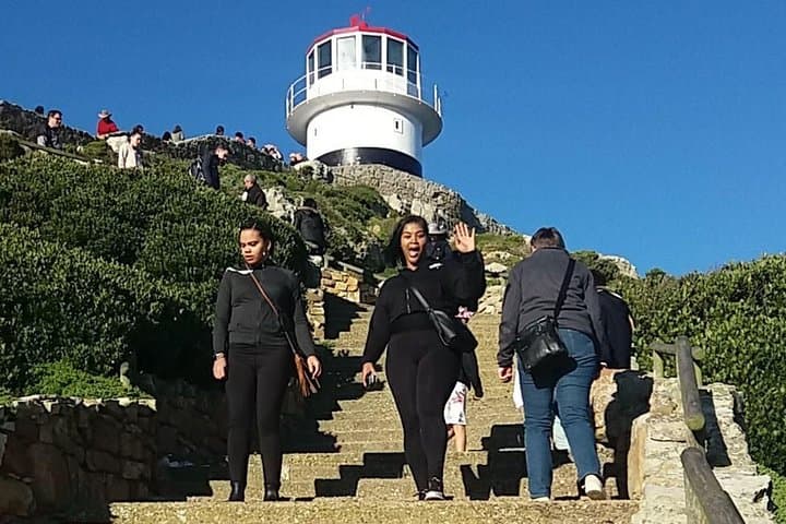 Cape Point Penguins, Chapman's Peak and Constantia Wine: Small-Group Day Tour from Cape Town photo 4