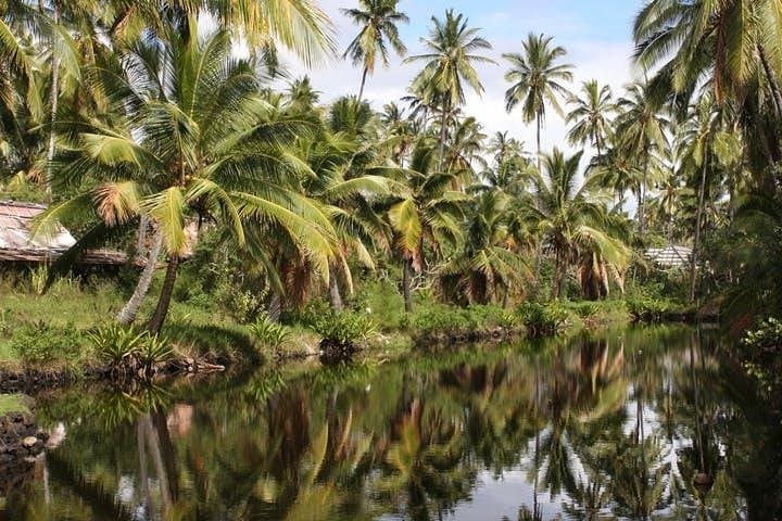 Kauai Movie Tour: Visit Famous Filming Locations & Scenic Sites photo 5