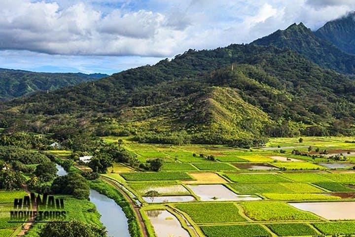 Kauai Movie Tour: Visit Famous Filming Locations & Scenic Sites photo 6