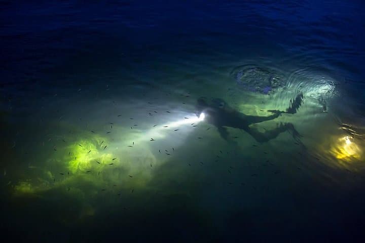 Night Shore Dive at Mangel Halto, Aruba — Certified Divers' Guide photo 5