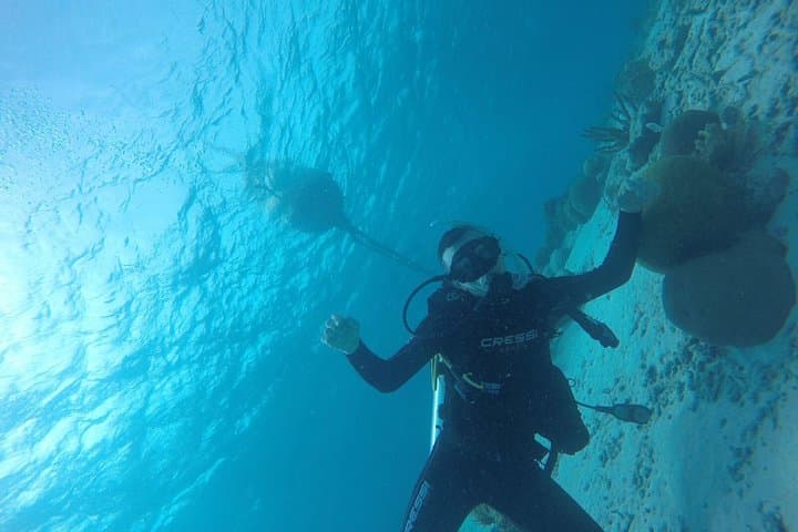 shore-dive-aruba-mangel-halto-hole-in-the-wall-santo-largo-for-certified-divers photo 3