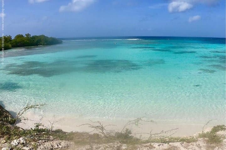 Mangel Halto Snorkeling Tour: Small-Group Reef & Kappel Shipwreck Experience photo 3