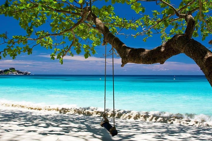 Similan Islands Speedboat Tour from Phuket — Snorkel, Sail Rock & White-Sand Beaches photo 4