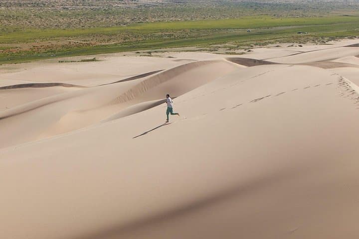 Semi-Gobi Day Tour from Ulaanbaatar: Elsen Tasarkhai, Nomads & Khustai Wild Horses photo 4