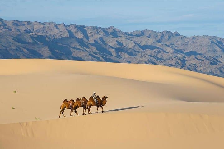 Semi-Gobi Day Tour from Ulaanbaatar: Elsen Tasarkhai, Nomads & Khustai Wild Horses photo 2