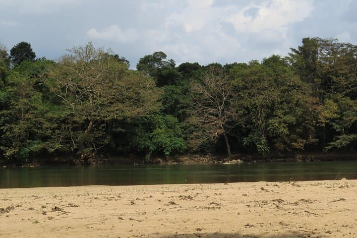 Wasgamuwa National Park Safari from Kandy: Private Jeep Wildlife Experience photo 3