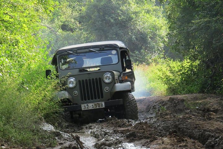 Wasgamuwa National Park Safari from Kandy: Private Jeep Wildlife Experience photo 4
