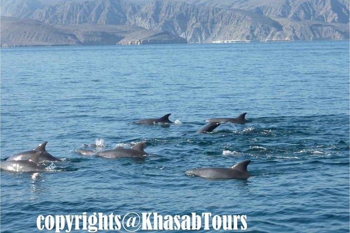 Dhow Cruise to Musandam’s Fjords — Khasab Day Trip from Ras Al Khaimah photo 2