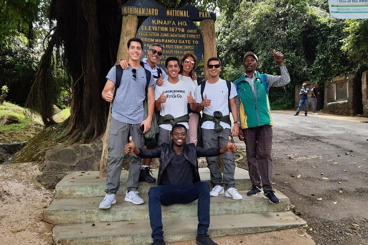 Kilimanjaro Day Hike to Mandara Hut — Rainforest Scramble from Moshi or Arusha