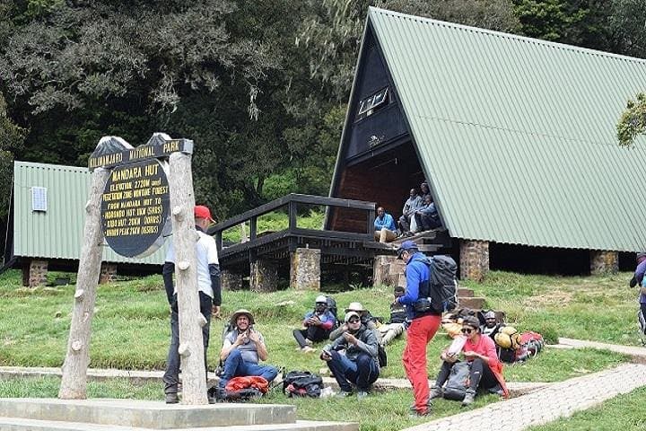 Marangu Route Kilimanjaro Trek: 6–7 Day Classic Ascent to Uhuru Peak photo 3