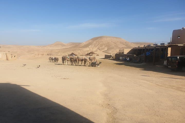 Atlas Day Trip: Discover Berber Villages, Argan Co-op & Valley Hike from Marrakech photo 3