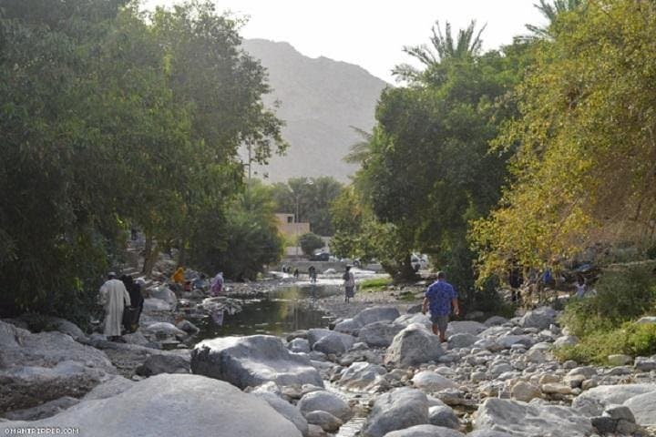 Nakhl & Rustaq Day Trip from Muscat — Nakhal Fort, Al Thowarah Hot Springs & Oasis Drive photo 5