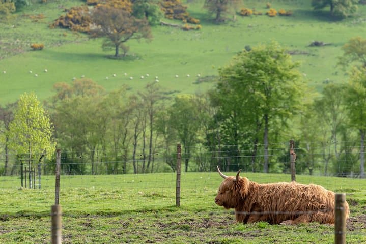 Loch Ness & Glencoe Day Tour from Edinburgh: Highland Sights, History and Tips photo 5