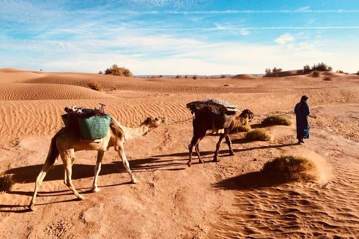 three-day-camel-caravan-in-the-sahara-in-the-footsteps-of-the-nomads photo 2