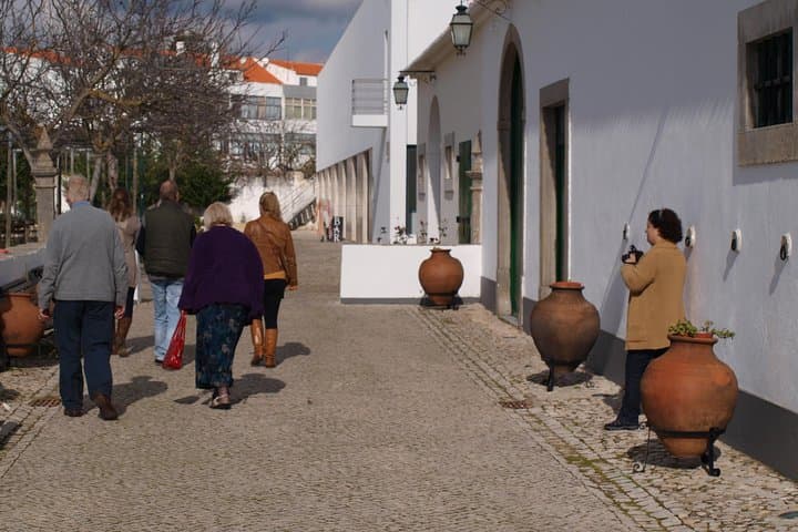 Flavours and Traditions: Inland Algarve Culinary & Cultural Day Tour photo 4