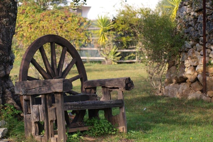 Flavours and Traditions: Inland Algarve Culinary & Cultural Day Tour photo 1