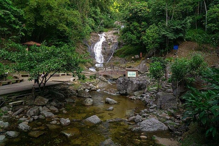 Cameron Highlands One-Day Private Trip from Kuala Lumpur: Tea Plantations, Waterfalls & Butterfly Garden photo 3