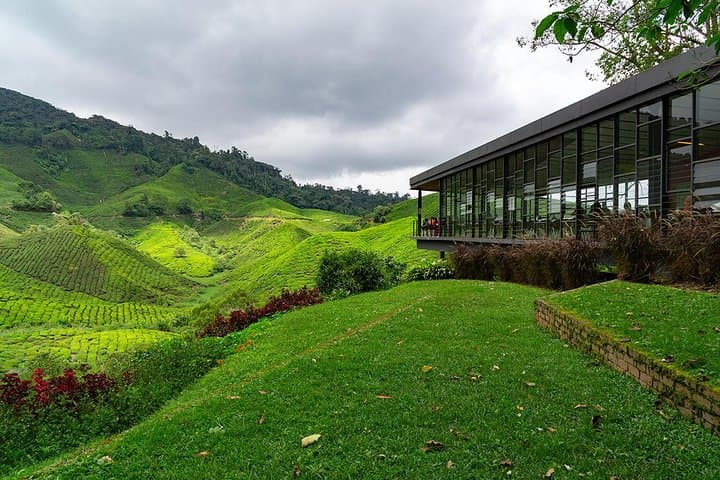 Cameron Highlands One-Day Private Trip from Kuala Lumpur: Tea Plantations, Waterfalls & Butterfly Garden photo 2