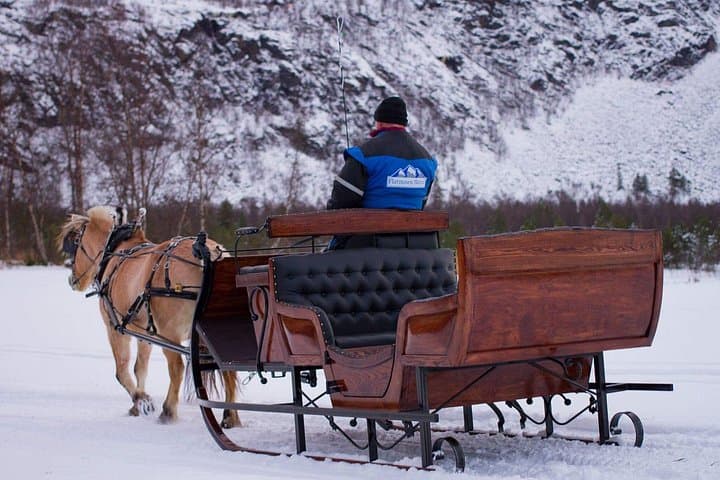 Arctic Sleigh Ride Through the Alta River Valley: Horse-Drawn Farm Tour photo 1