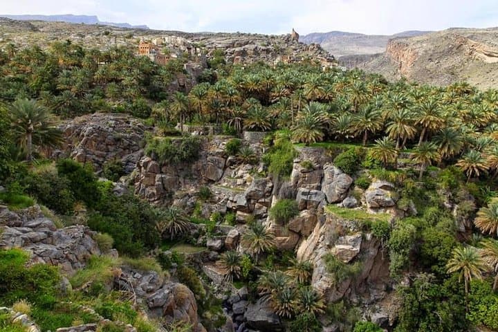 5-Day Oman Explorer: Wadis, Wahiba Sands & Turtle Beaches photo 3